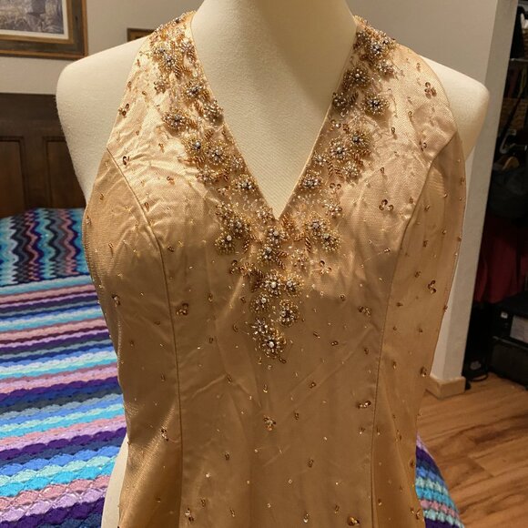 #29) Evening Gown: Bronze Dragon Princess - Picture 8 of 10